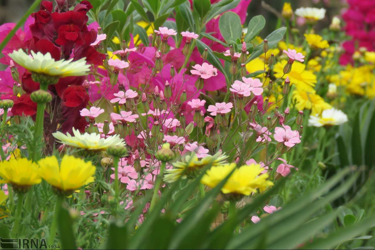 افتتاح اولین نمایشگاه بین‌المللی گل و گیاه در گیلان