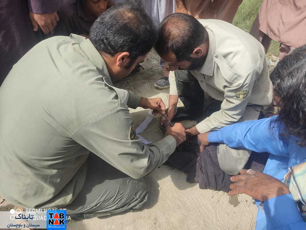 زنده‌گیری سه تمساح در راسک سیستان و بلوچستان