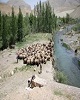 عشایر استان از تجمع واستقراردربستر رودخانه ها خودداری کنند