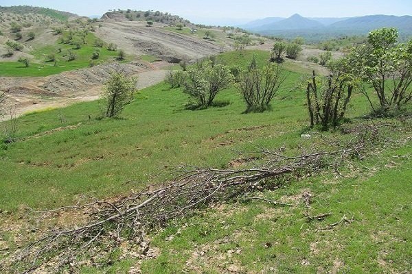 افتتاح ۲۰ طرح در حوزه منابع طبیعی در هفته دولت افتتاح ۲۰ طرح در حوزه منابع طبیعی در هفته دولت