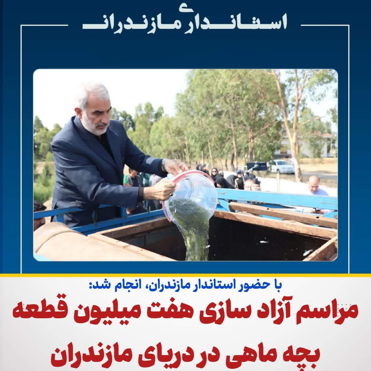 آزاد سازی هفت میلیون قطعه بچه ماهی به صورت طبیعی در دریای مازندران