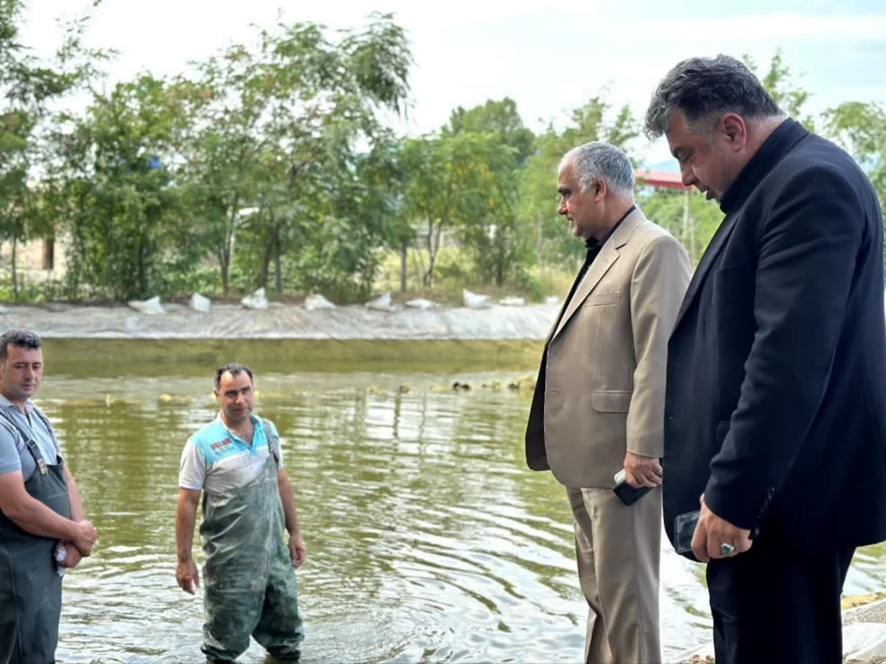 ۵۰۰هزار قطعه بچه ماهی در رودخانه چوبر تالش رهاسازی شد