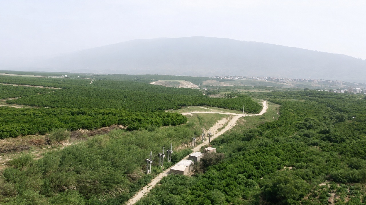 سیاب بهشت خنک کوهدشت؛ جایی میان آب، کوه و انارستان های زیبا