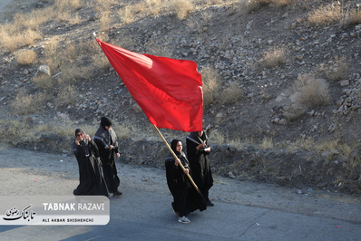 زائران پیاده امام رضا ع